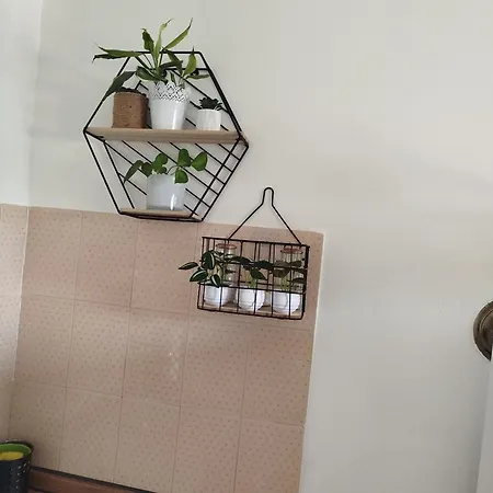 In The Guest house