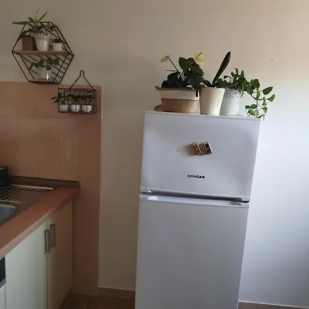 In The Guest house